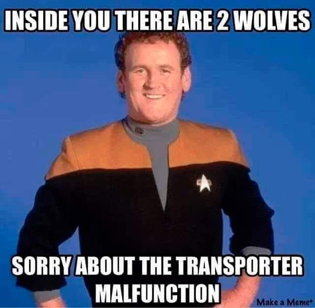 This meme is a play on words, referencing a famous Star Trek: The Next Generation episode where a character is attacked by a wolf-like creature. The image shows a character from the show, Patrick Stewart, but with a wolf-like face superimposed over his. The text reads: "In 2-3 sentences, describe this meme for someone who cannot see it: The meme is a humorous take on a classic Star Trek episode, with a character's face being replaced with a wolf-like creature. The image is a play on words, referencing the episode "The Wolf in the Night" where a character is attacked by a wolf-like creature. The text at the top reads: "In 2-3 sentences, describe this meme for someone who cannot see it."
